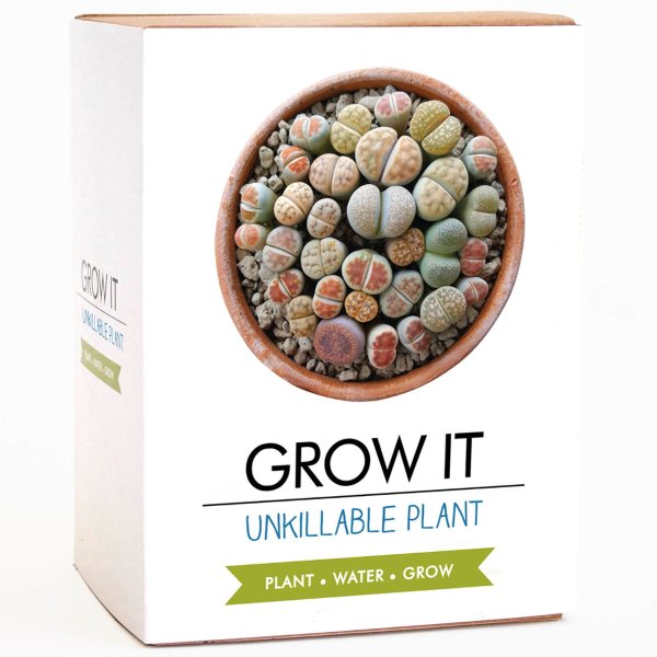 Grow It - Unkillable Plant