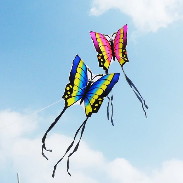 蝴蝶风筝 100米线