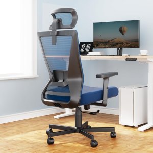 💥史低价💥：Dripex 可调节头腰支撑 高靠背可倾斜人体工学办公椅
