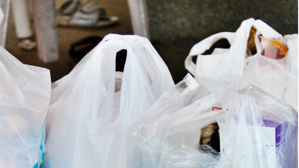 注意！安省超市将在今年年底前彻底淘汰塑料袋，顾客自备购物袋！