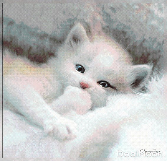 glenn fox 眨眼.gif