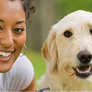 Groupon 狗行为学和动物心理学研究在线课程