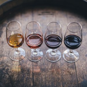意大利葡萄酒品鉴套装 红葡萄、白葡萄、桃红葡萄一次买齐