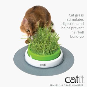 Catit Senses 2.0 盆栽猫草小玩具 养生养胃安抚小情绪