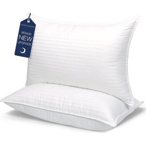 💥史低价💥：COZSINOOR 酒店级品质 Queen枕头2件套