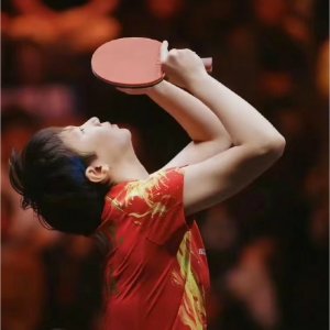Stiga瑞典乒乓球大王 球拍天花板 王曼昱同款也有
