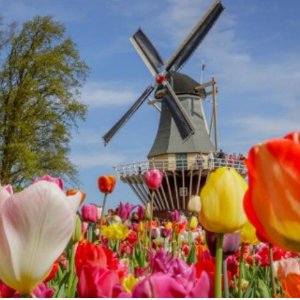 €102/人 3月底-5月可定~荷兰郁金香花园门票+酒店包圆 又到一年赏花季 700万种等你赏