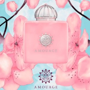 Amouage 阿拉伯香料主义高端香水 送$129香水礼盒