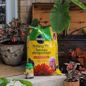 Miracle-Gro Potting Mix 花盆土 大包装8.8L