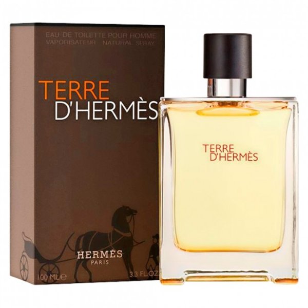 Terre D'Hermes Pour Homme EDT 100 mL香水