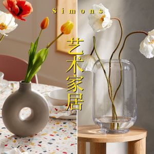 Simons 艺术花瓶/种植花盆 家中点睛之笔 桌面小花盆$4.99起