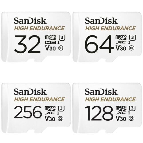 Micro SD  High Endurance up to 100MB/s