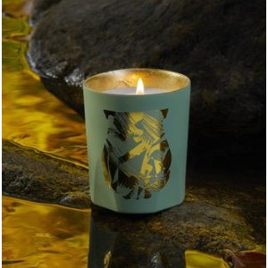 Cire Trudon雪松 丝柏木质香 清澈纯粹新款 水石清华蜡烛 - 270 g