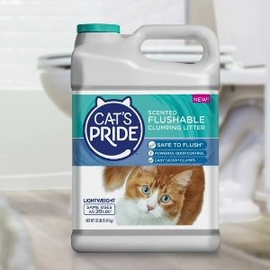 史低价：Cat's Pride 轻型结块猫砂4.54kg 可冲马桶易清洁