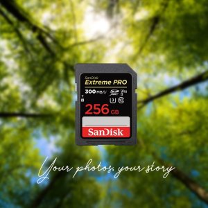 SanDisk 闪迪大促 储存卡、U盘、移动硬盘 Switch也可用