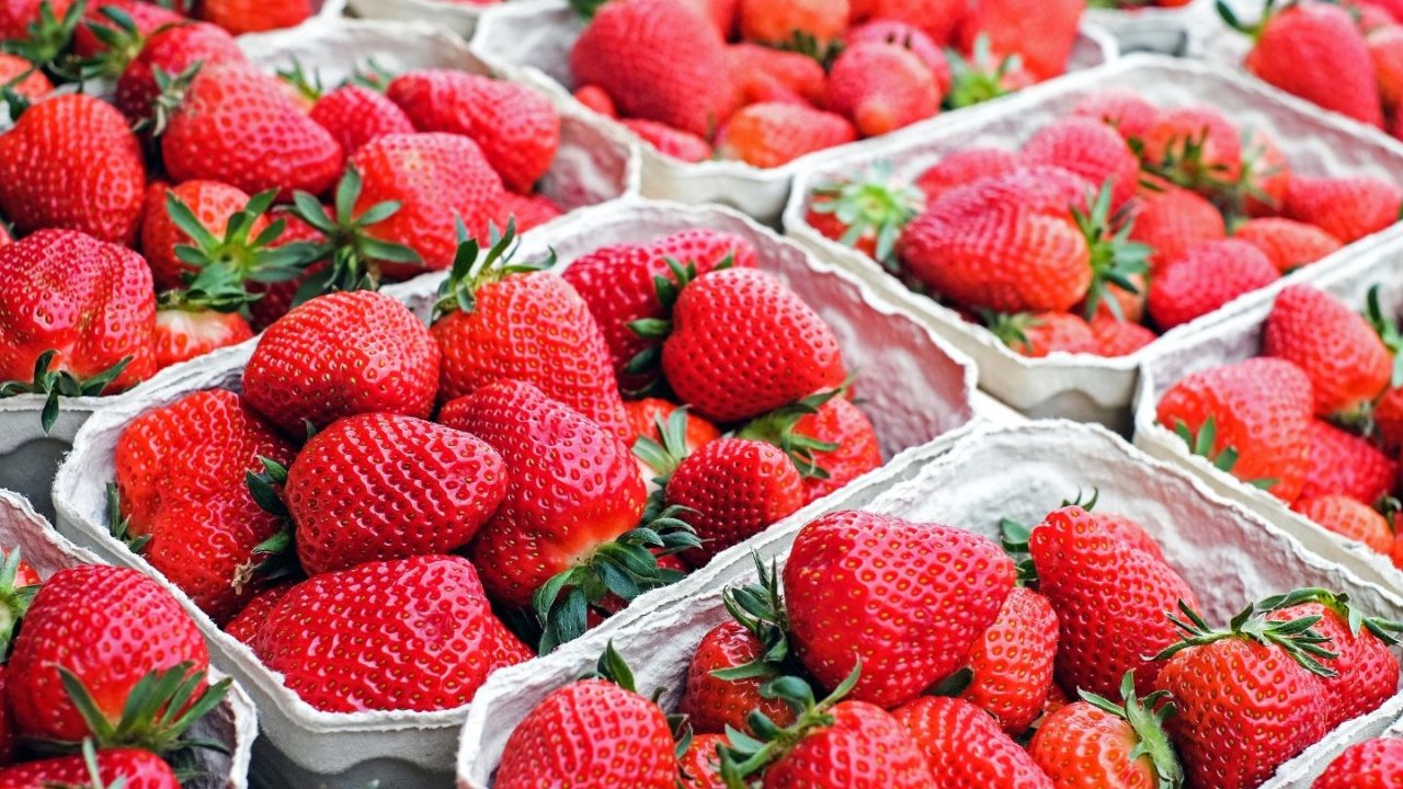 Costco销售冻有机草莓恐携有甲肝病毒，加拿大严密监测！甲肝传播途径和预防科普！