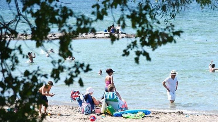 沙滩游玩注意！远离约克区这三个公共沙滩！水质严重受污染，不适合游泳！