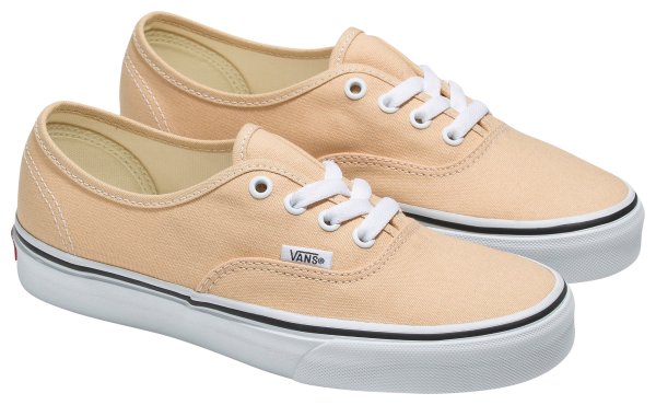 Vans Authentic 帆布鞋