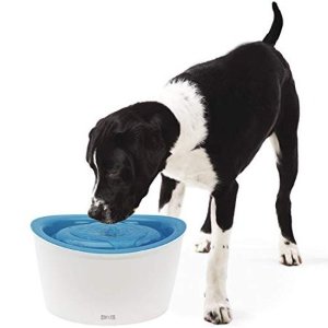 史低价：Dogit  6L宠物饮水机 加高设计适合大型犬 让毛孩子爱上喝水
