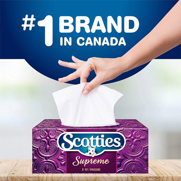 Scotties 3层超软面巾纸 88张*6盒