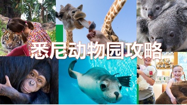 悉尼动物园Taronga Zoo-游玩攻略&门票&交通方式&酒店