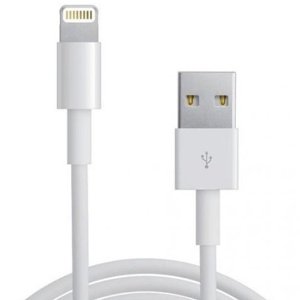 Apple iPhone/iPad 充电线