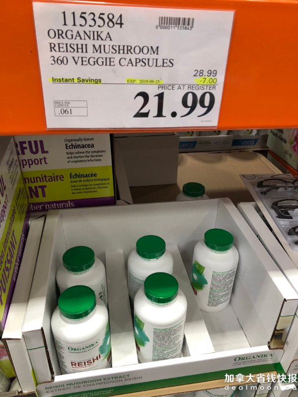 11.JPG