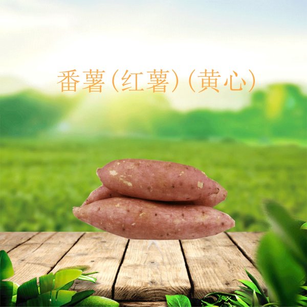 番薯/红薯(黄心）公斤