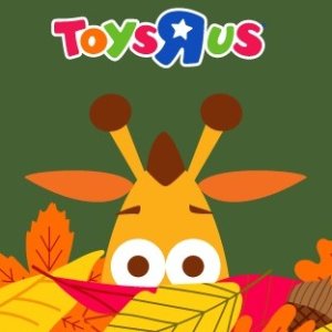 Toys R Us 玩具反斗城多款实体游戏、配件折扣