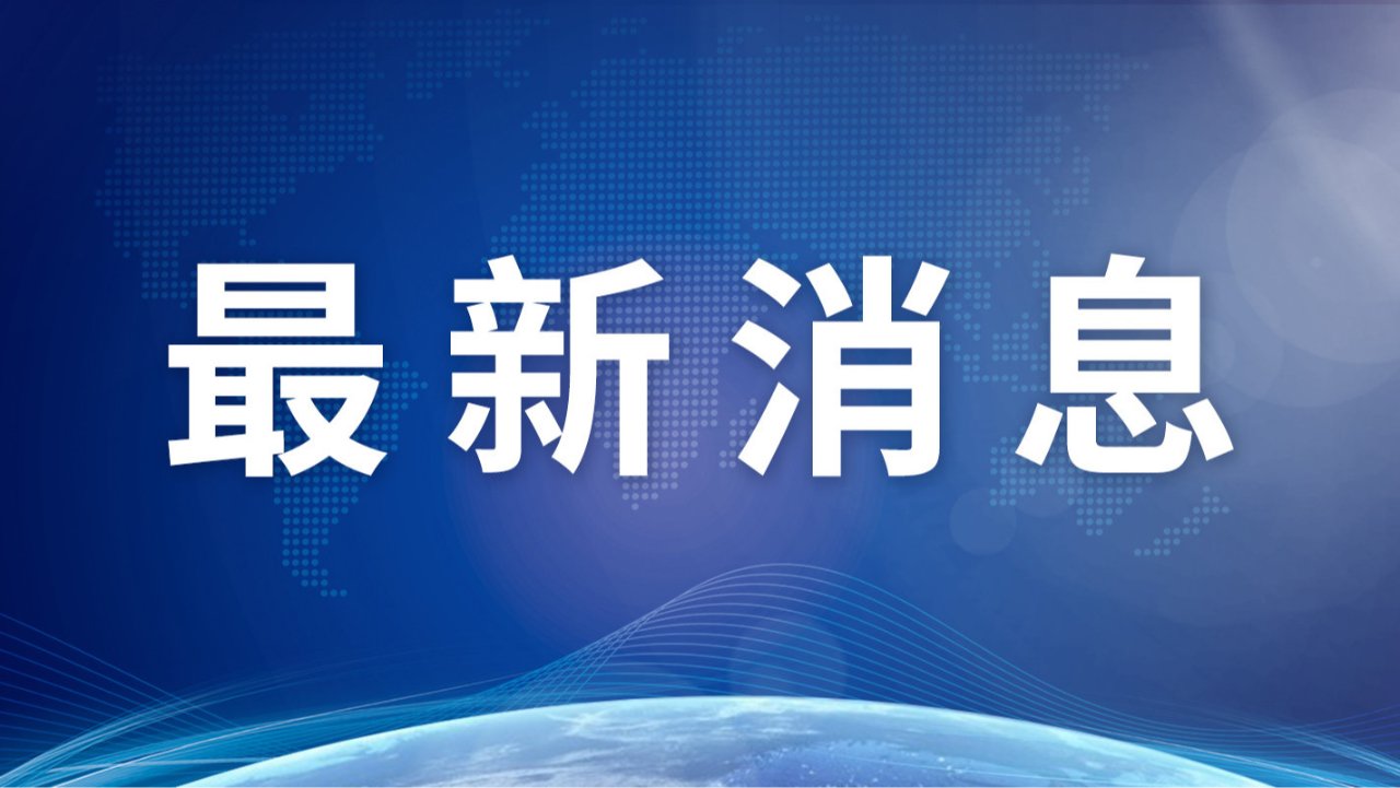 上海国际商务合作区：搭乘国际航班自浦东国际机场入区的境外人员无需核查中国签证