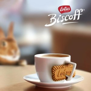 Lotus Biscoff 焦糖饼干 酥松香脆 咖啡的超棒搭档