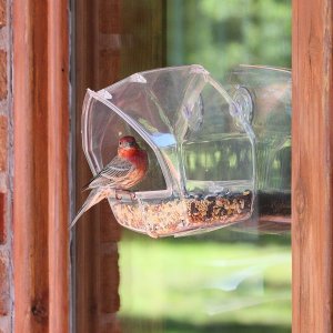 Perky-Pet 贴窗鸟类喂食器 近距离观察鸟类 亲近大自然