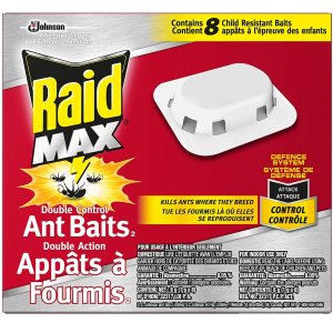 Raid 灭蚁饵剂 8个