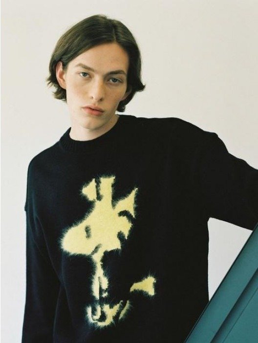 [Unisex] Peanuts_Woodstock 毛衣