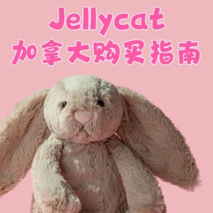Jellycat 加拿大购买攻略-邦尼兔/小狐狸/小狮子/生日蛋糕