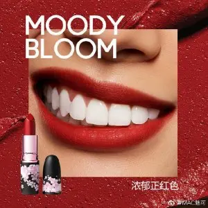 子弹头口红 Moody Bloom 3g