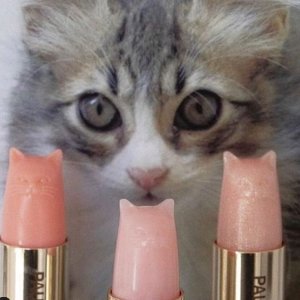 Paul & Joe 少女心爆棚的彩妆热卖 收搪瓷妆前乳、猫咪口红等
