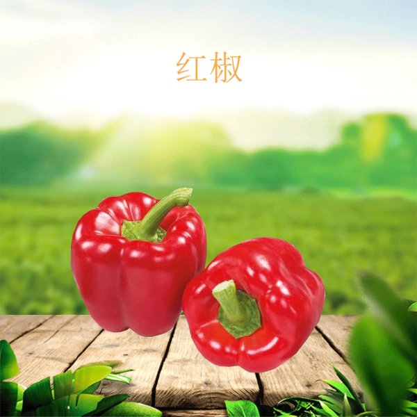 红椒（500g）