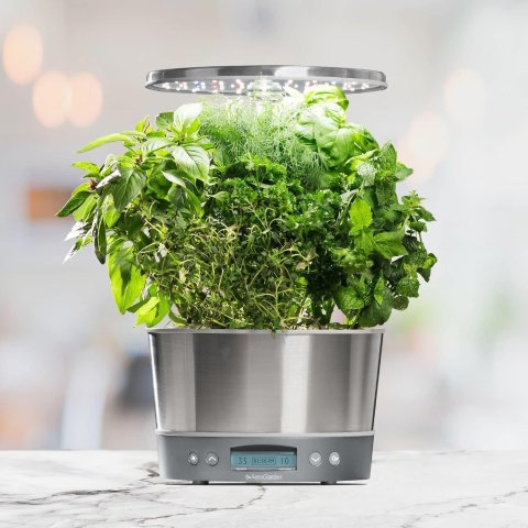 $58(去年黑五$86)💥史低价💥：AeroGarden 室内水培种植箱 送罗勒、薄荷、莳萝等种子