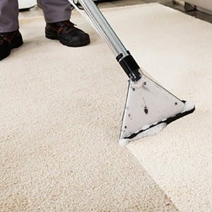 A Pristine Carpet Clean 悉尼地毯清洗上门服务