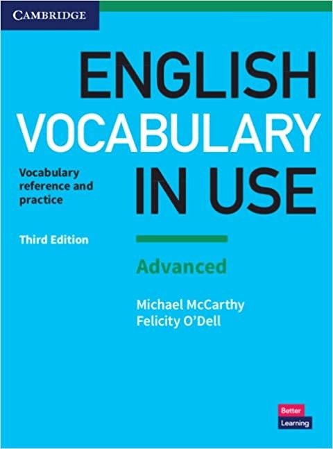 English Vocabulary in Use: Vocabulary 英语词汇书