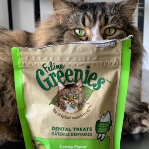 Greenies Feline 成猫洁齿零食4.6 oz.  多口味可选