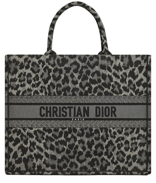 大号 Dior 手提包