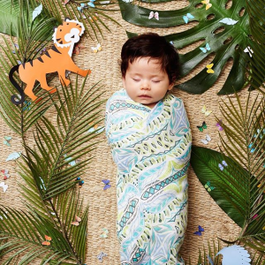 Aden+Anais 精选宝宝包巾、午睡毯、睡袋特惠