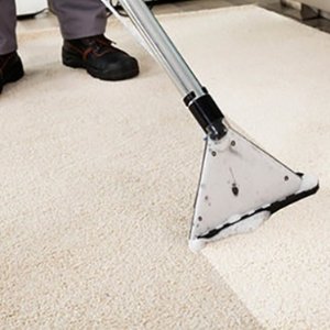 A Pristine Carpet Clean 悉尼地毯清洗上门服务团购