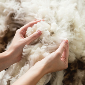 MiniJumbuk 新款羊毛被上市 $64起收透气羊毛枕
