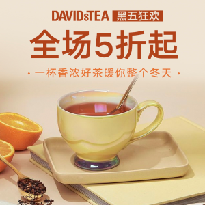 黑五价：DAVIDsTEA暖心茶饮 收圣诞礼物 挑中国好茶