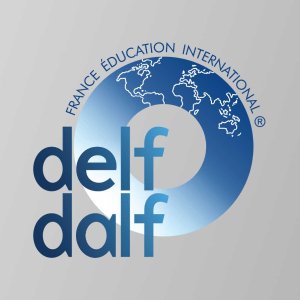 DELF/DALF 法语备考书籍：ABC DELF、Réussir le DELF等