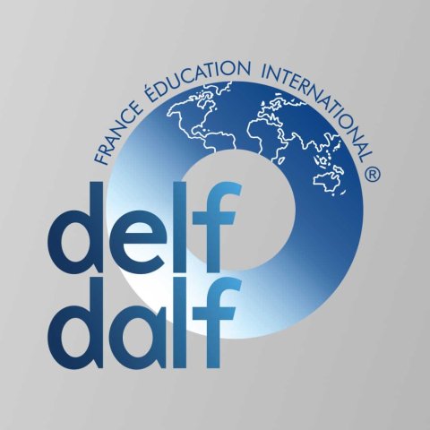 DELF/DALF 法语考试必备书籍：ABC DELF、Réussir le DELF等Reussir le