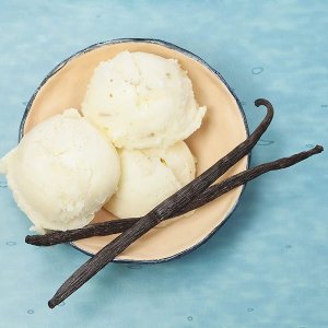 Native Vanilla 100%天然纯正香草粉57g 专业烘焙首选原料